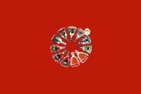 六安市霍邱回收红酒